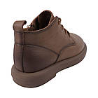 Черевики жіночі Gifanni капучіно натуральна шкіра, 39, фото 4