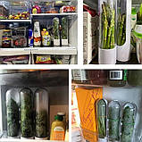 Контейнер для зберігання зелені в холодильнику набір 2 шт HERB SEVER білий (GS-141795), фото 8