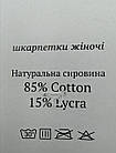 Жіночі махрові шкарпетки Житомир Luxe, з малюнком зірочки, розмір 36-40, 12 пар/уп. мікс кольорів, фото 3
