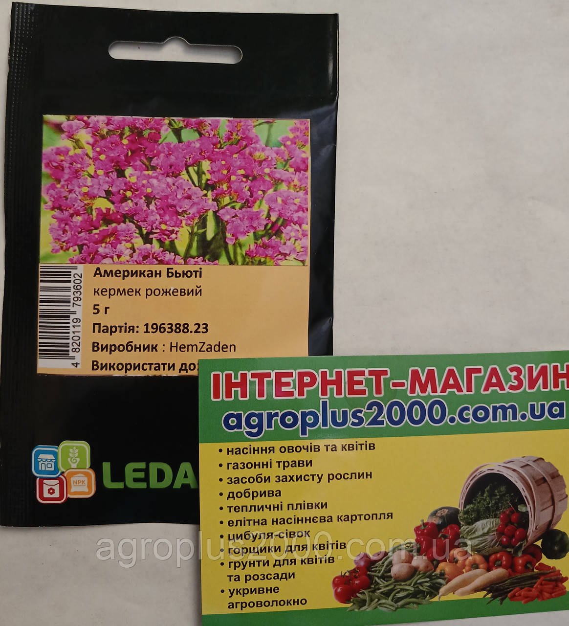 Насіння Кермек (статице) Американ Б'юті Рожевий 5 грам Hem Zaden LedaAgro