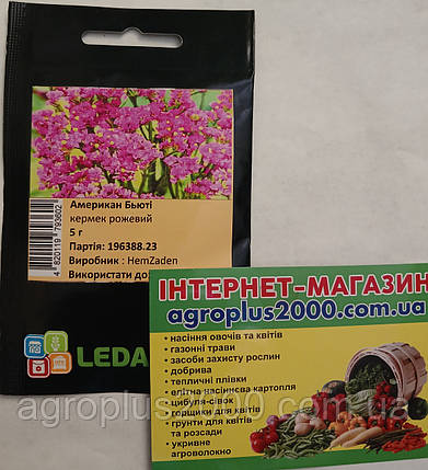 Насіння Кермек (статице) Американ Б'юті Рожевий 5 грам Hem Zaden LedaAgro, фото 1
