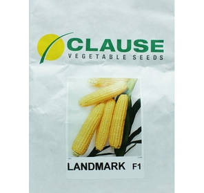 Насіння кукурудзи Лендмарк F1 (Clause), 1 кг — рання (70-73 дні), цукрова. Дуже солодка!!!, фото 4