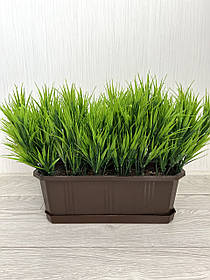 Штучна осока для озеленення (35 см)