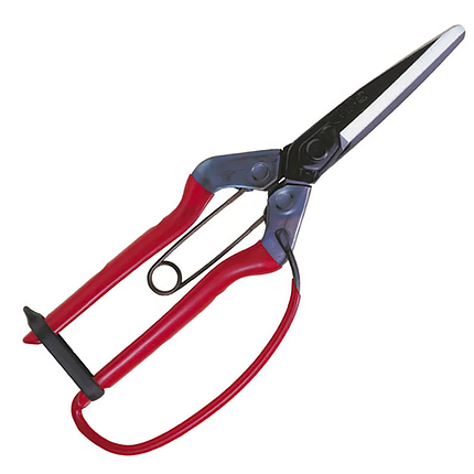 Ножиці для збору плодів та топіарної стрижки CHIKAMASA, T-700G, 215 мм із захистом на руків'ї (Японія), фото 1