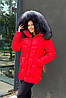 Червоний жіночий короткий пуховик на еко пуху з хутром натуральної чорнобурки, фото 4