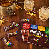 Набір шоколаду HERSHEY'S Harry Potter Snack Size Halloween Candy 267г, фото 3