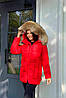 Червоний теплий жіночий короткий пуховик на еко пуху з хутром натурального єноту на термопідкладці, фото 2