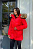 Червоний теплий жіночий короткий пуховик на еко пуху з хутром натурального єноту на термопідкладці, фото 5
