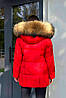 Червоний теплий жіночий короткий пуховик на еко пуху з хутром натурального єноту на термопідкладці, фото 7