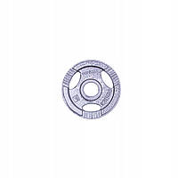 Диск чавунний inSPORTline Hamerton 1,25 кг
