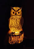 Чарівна Нічна Сова Ліхтар на сонячній енергії, фото 7