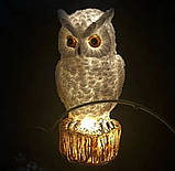 Чарівна Нічна Сова Ліхтар на сонячній енергії, фото 4