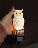 Чарівна Нічна Сова Ліхтар на сонячній енергії, фото 6