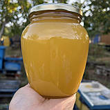 2025 р 0,7 л (1 кг) Мед Різнотрав'я-соняшник Натуральний з кочової пасіки, фото 5