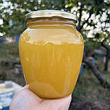 2025 р 0,7 л (1 кг) Мед Різнотрав'я-соняшник Натуральний з кочової пасіки, фото 6
