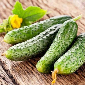 Огірки бджолозапильні