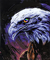Картина за номерами Погляд орла 40x50см Набір акриловий живопис за номерами на полотні Strateg SY6874