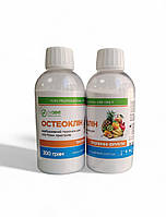 Остеоклин порошок для аппаратов  Aif Fow тм Дидент 300г Тропічні фрукти