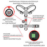 Шлея H-подібна WAUDOG Nylon Леопард з QR-паспортом, пластиковий фастекс L 322-4066, фото 5