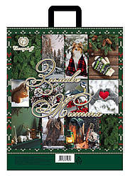 Пакет с петлевой ручкой 410*370 мм 25 шт