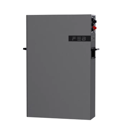 Акумуляторна батарея FEB PowerX-W5 5.12 кВт 100 Ah 51.2V