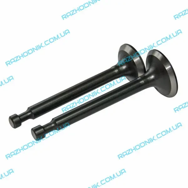 Клапан двигуна генератора GASOLINE GENERATOR 4200VA