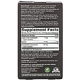 Nature's Way, Chlorofresh, краплі з хлорофілом, зі смаком м’яти, 59 мл, фото 2