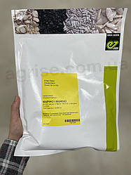 Насіння коріандру Маріно (Marino) Enza Zaden 25000