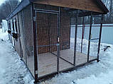 Курятник сучасний для дому для розведення домашніх курей, фото 2