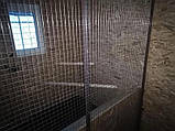 Курятник сучасний для дому для розведення домашніх курей, фото 7