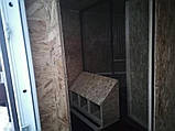 Курятник сучасний для дому для розведення домашніх курей, фото 6