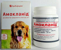 Амокланід капсули по 0,5 г, 25 штук