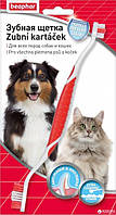 Двостороння зубна щітка Beaphar Toothbrush для котів та собак