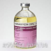 Канаміцин- Фортіс 25% (100 мл)