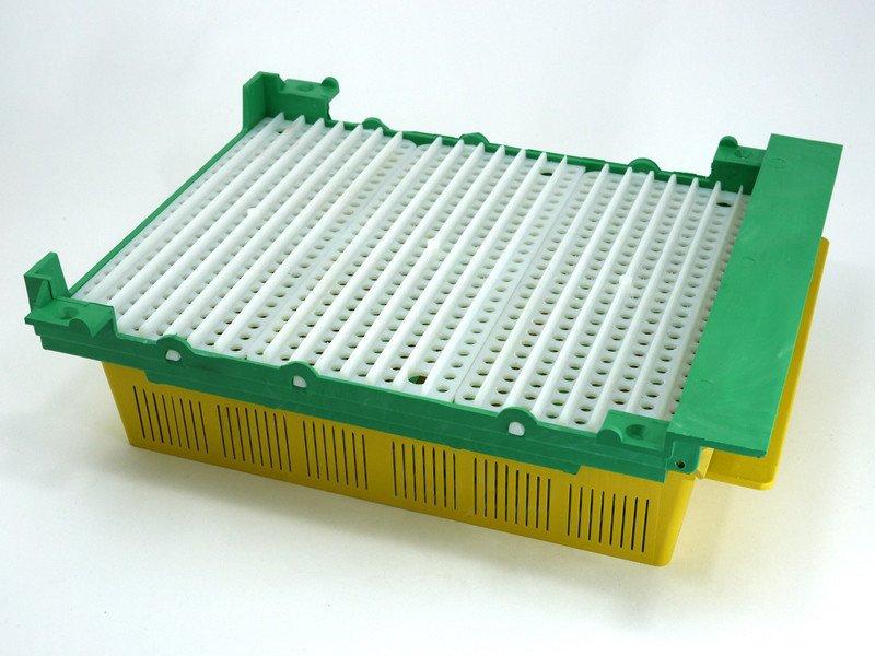 Пилкозбірники Донний, фото 1