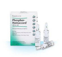 Фосфор Гомакорд Хель ампули (5 ампул)