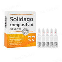 Солідаго композитум, 5 амп.*2,2 мл, Хель (цистіт)