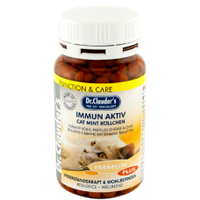 Dr.Clauder's Immun Acitve Cat Mint Rolls - вітамінізовані ролі для зміцнення імунної системи котів, 100г