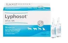 Гомеопатичні препарати для собак