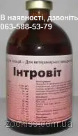 ІНТРОВІТ 100 мл Інтерхімі