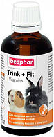 Вітамін Beaphar Тринк+Фіт для вовни і кісток гризунів 50 мл
