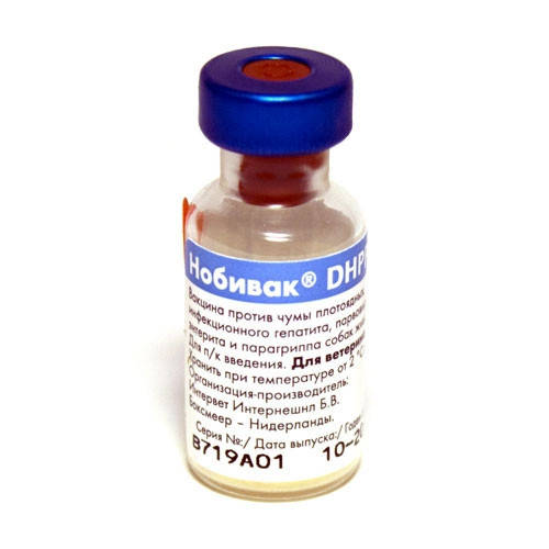 Нобивак DHPPi (Nobivac DHPPi) вакцина для собак против чумы(С ...