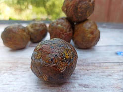 Прополис (вітаміни для бджіл)— 10 грам