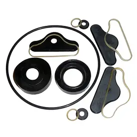 Ремкомплект гідронасосу НШ-50А (нового зразка) Антей з пластмасовою обоймою