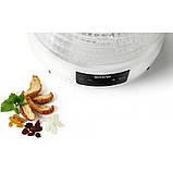 Сушіння Gorenje FDK500GCW Білий DS, фото 6