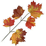 Гілка клена для декору 28 см, фото 2