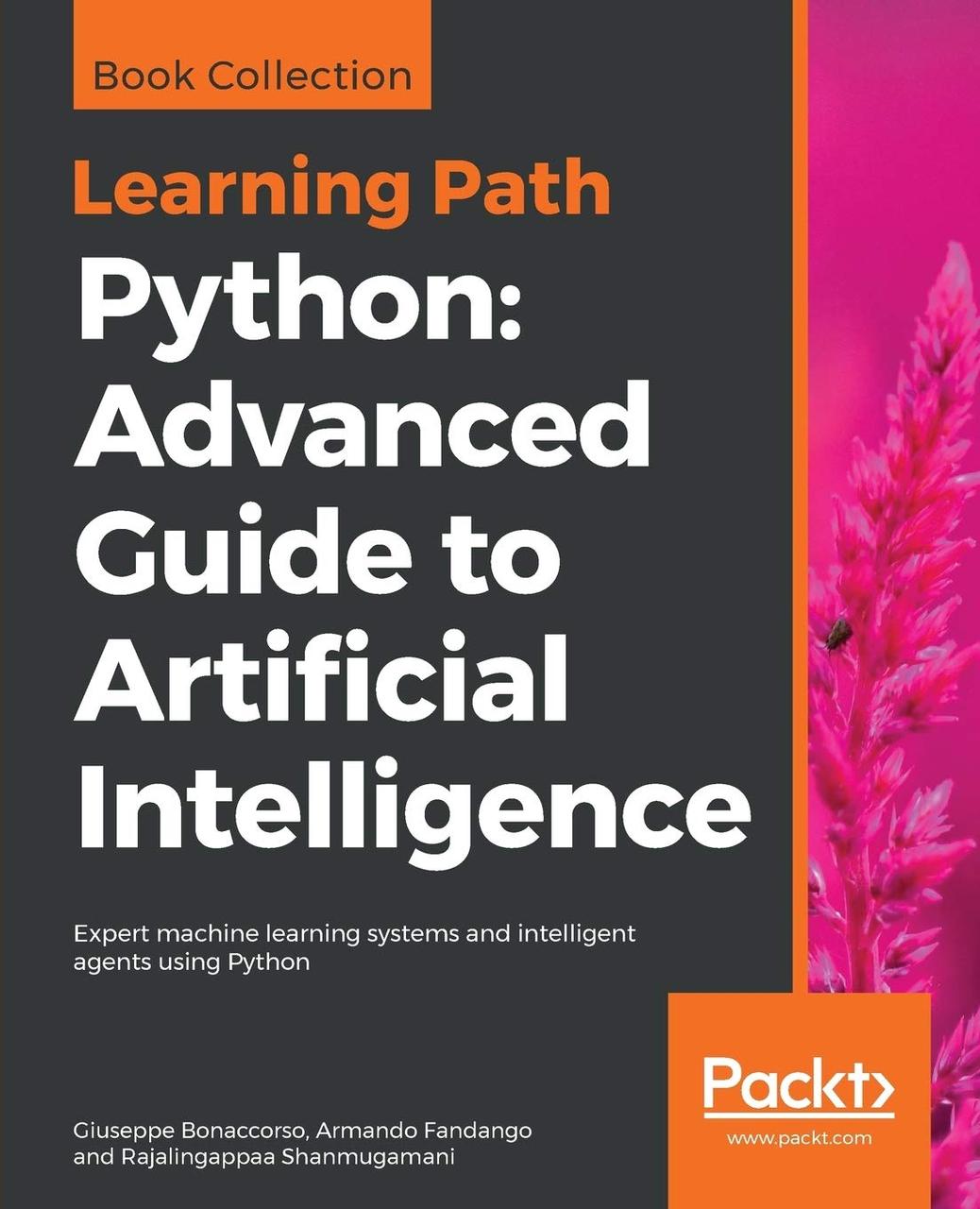 Python Advanced Guide to Artificial Intelligence: Advanced Guide to Artificial Intelligence: Expert machine, фото 1