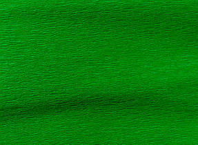 Гофрований папір 55% 1 Вересня Світло-зелений (50*200 см) 703071