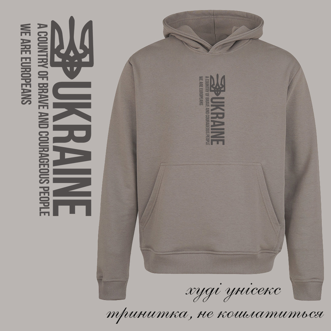 Худі унісекс утеплене Stedman з принтом A COUNTRY XS сірий, фото 1