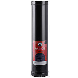 Картридж для усунення сірководню Bio+ systems CX-20L Big Blue 20″